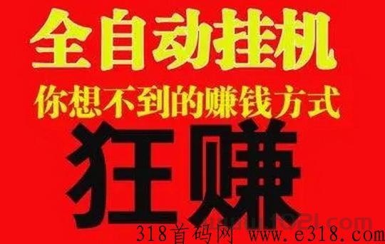 941挂机项目大全纯净版，真正意义上的躺赚